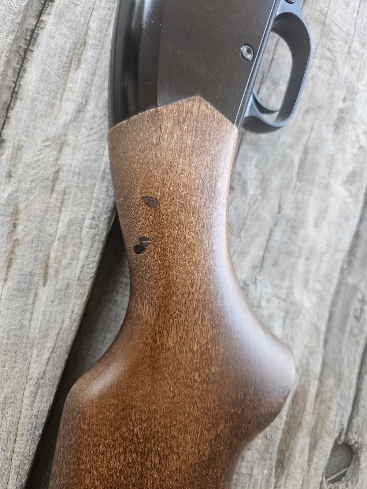 Photo 6 of Winchester Defender