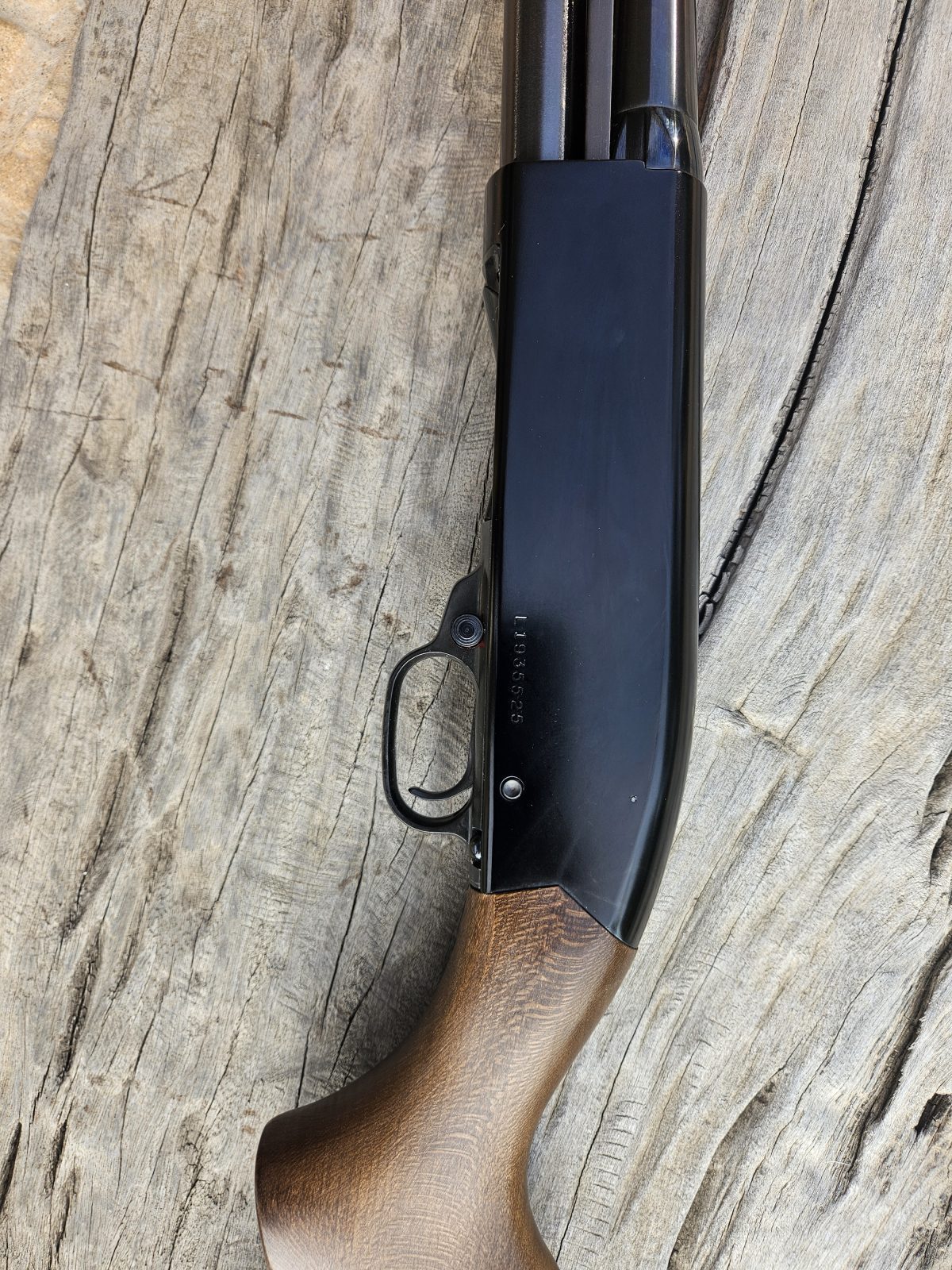 Photo 3 of Winchester Defender