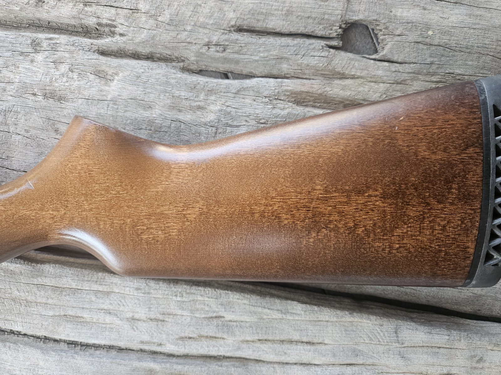 Photo 5 of Winchester Defender