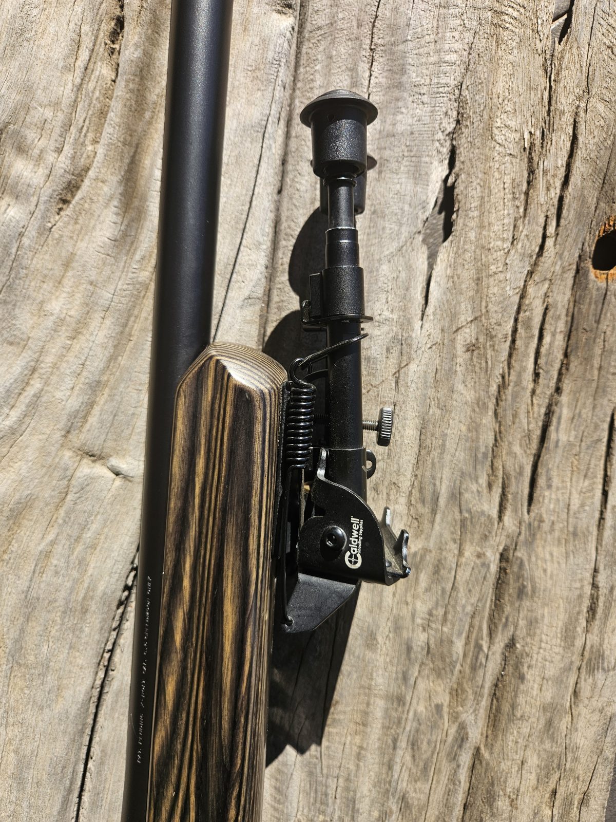 Photo 3 of Browning X - Bolt